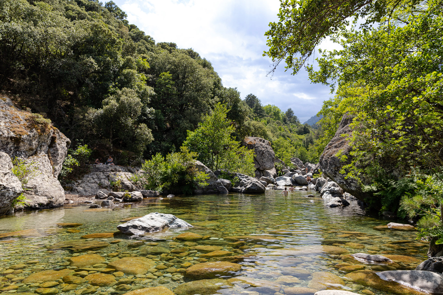 Gorges du Tavignano
